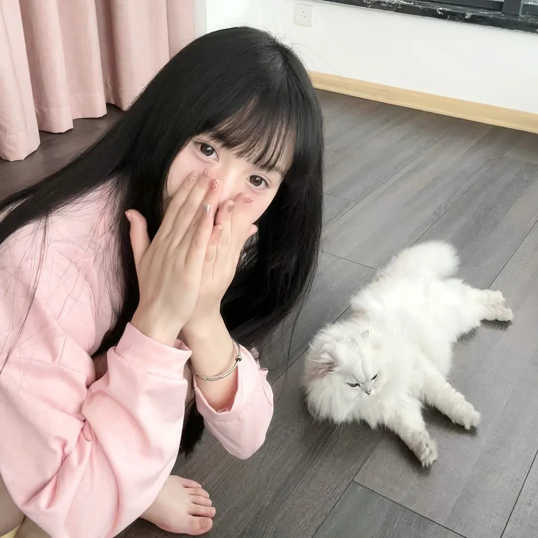 妖怪名单